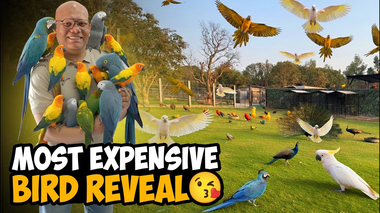 Farm Ke Sare Expensive Bird Reveal Kar Diye🦜 | BT Farm Stories