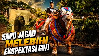 TERNYATA BENERAN RAKSASA GAESS SAPI SAPU JAGAD INI, GUE SAMPE SPEECHLESS!