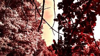 Broken Life - Leblos