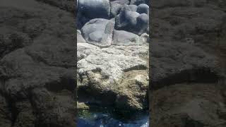 La isla de los cangrejos,  Rincon de guayabitos Junio 2022