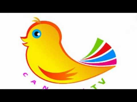 فاصل قناة كناري 4 أسماء الراشد