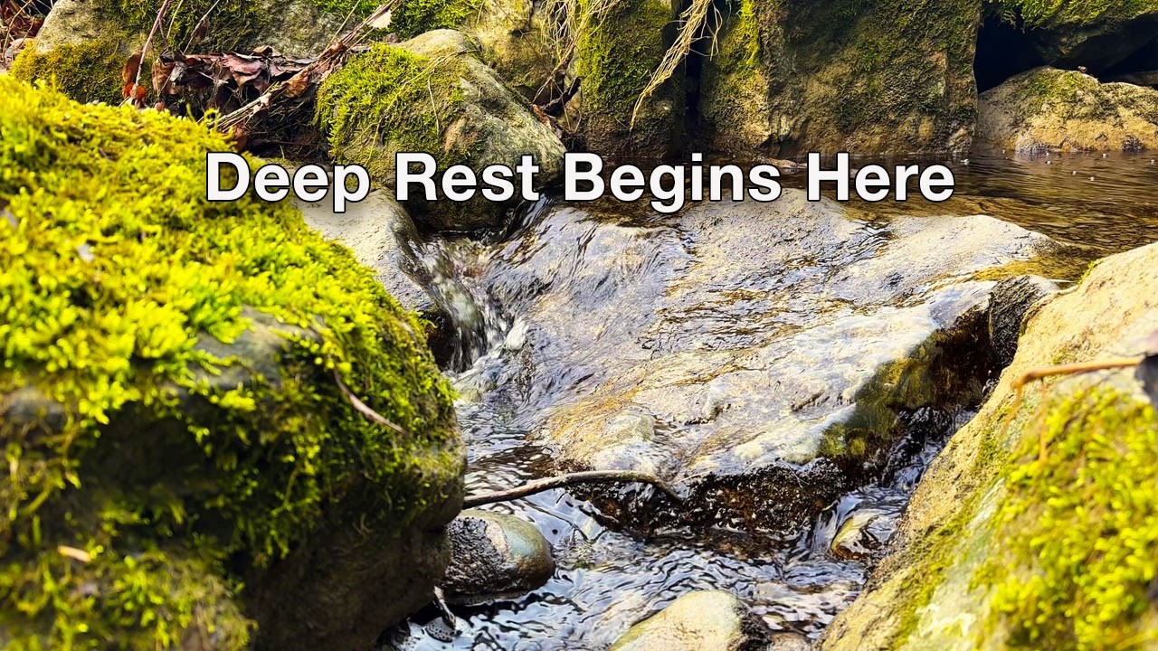 Clear Flowing Water Over Stones • Natural Sleep Sounds (No Music, Real Water ASMR)