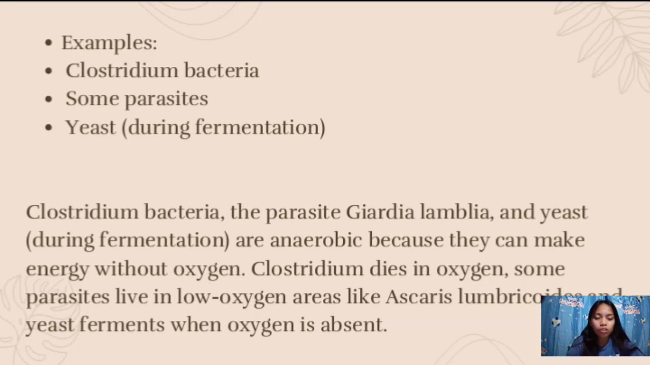 Differentiate aerobic and anaerobic 