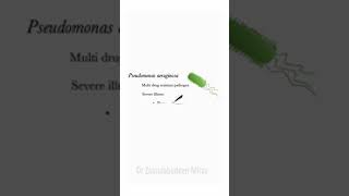 pseudomonas aeruginosa antibiotic resistance | ZMD Health Science