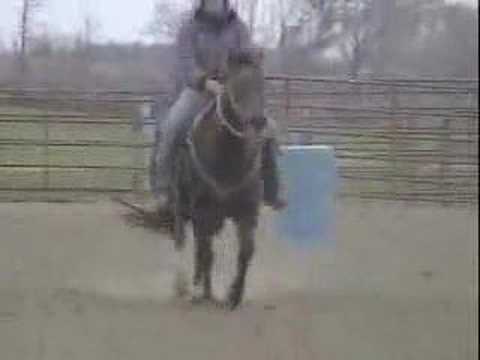 Linda Richmond Barrel Racing "Hos" 8yo Mare