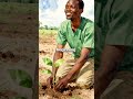 The 27-Year-Old Who Changed Africa Forever (Then Got Betrayed)