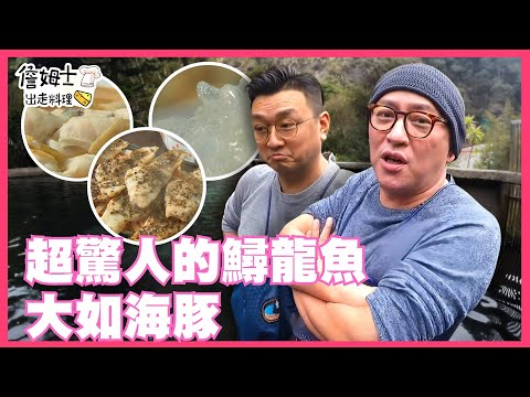 ????精選｜EP 61 超驚人！大如海豚的「鱘龍魚」 雙廚真男人享用豪奢鱘龍魚大餐！鱘龍魚燕窩、生魚片、魚子醬