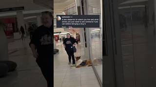 Walmart Target will forever be non pet friendly
