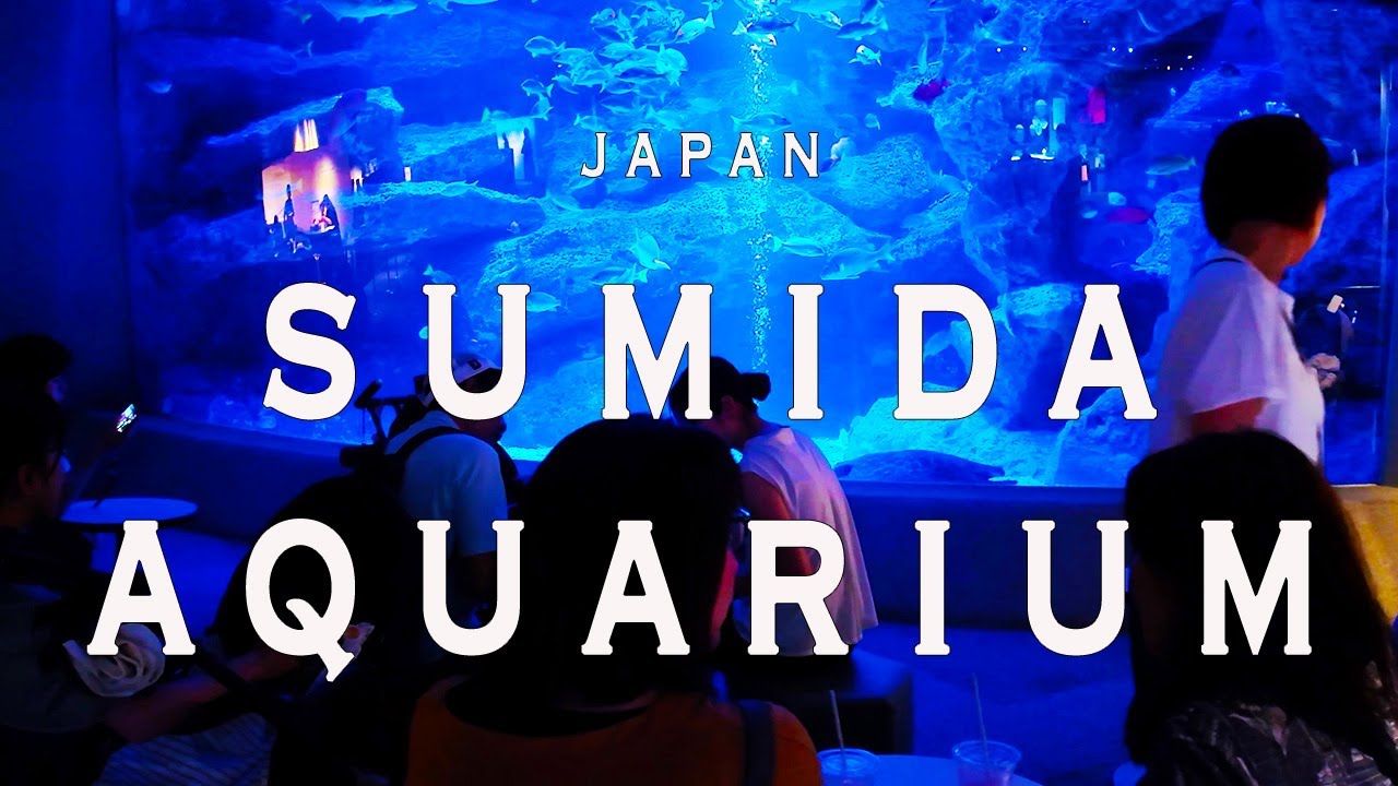 Sumida Aquarium 4K Walking Tour (Tokyo Japan)-Tour with Captions & Immersive Sound.すみだ水族館