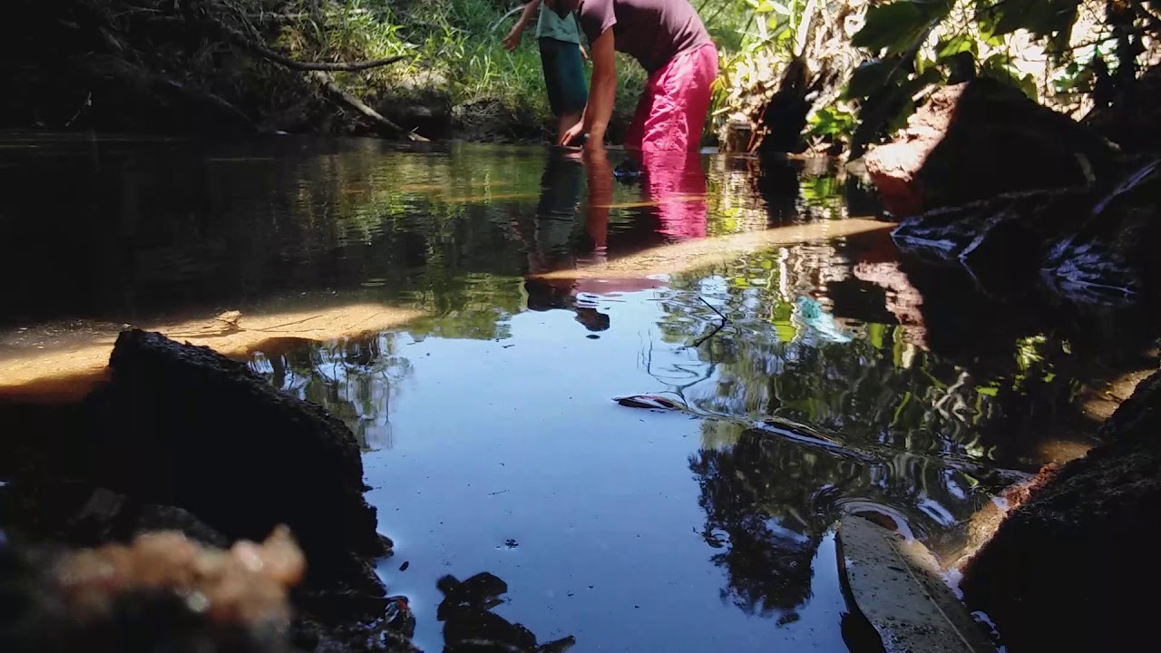 Represando o rio aki de casa - YouTube