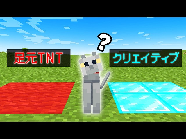 まさかの展開！？ネコにすべてを選ばせてエンドラ討伐してみた【マイクラ】