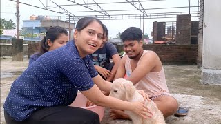 Nimos 1St Bath Siliguri Trade Fair Bengali Vlog Den Retriever Bath Ayantika Mallik