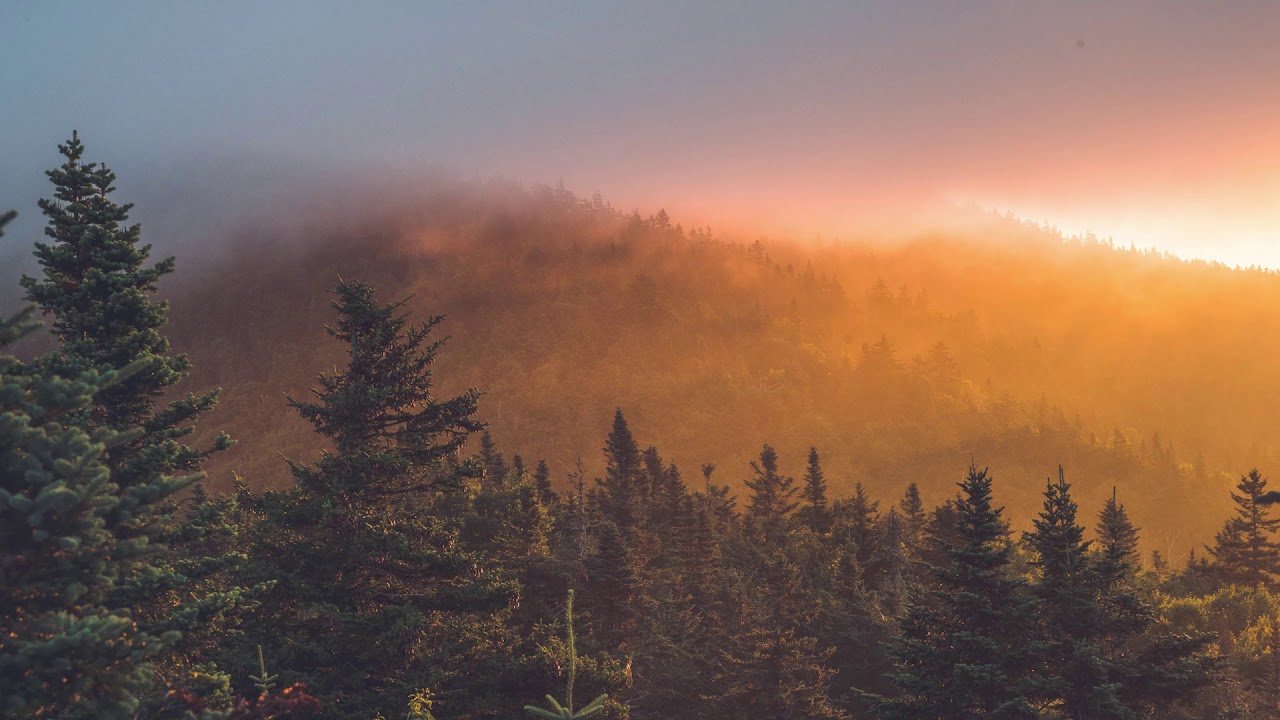 CHILLOUT LOUNGE MUSIC BEST 2020 / AMBIENT MUSIC / STRESS RELIEF MUSIC Vol.4