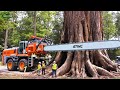 Extreme Dangerous Fastest Big Chainsaw Cutting Tree Machines – Stump Lifts Excavator Off-Balance #94
