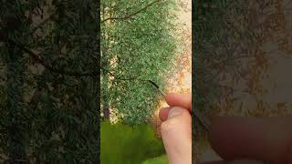 How to Paint Realistic Leaves in Oil Paint