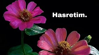 Hasretim. İnsanın Içine Işliyor. Çok Duygusal Bağlamalı Fon Müziği. Telifsiz.
