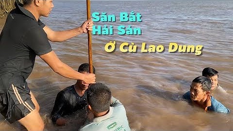 Mò bắt hải sản ở Cù Lao Dung về nấu đặc sản Miền Tây cùng anh em | Cldv #686