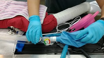 SafeSigh Non-Rebreathing System - Vetamac