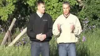 Farm Basics: Shelterbelts (from Ag PhD #534)