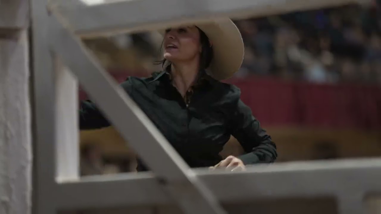 What is Reined Cow Horse?