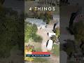 4 Things to Love About 3814 100M Ave SW