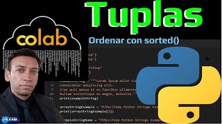 Cómo Ordenar Tuplas en Python (Usando Google colab) Net Worth