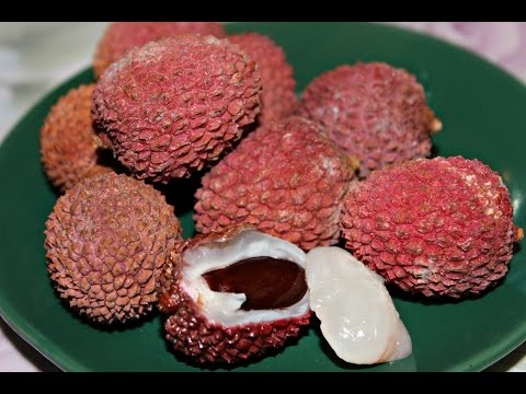 Video: Lychee - All About Exotic Fruits