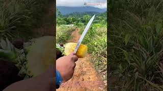 🍍 Ein Schnitt, der die Süße freilegt: Wie der Bauer die Ananas von der Schale befreit