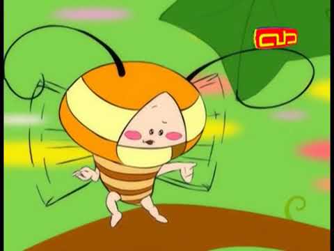 توتة توتة الفراشة ديدي قناة طه 