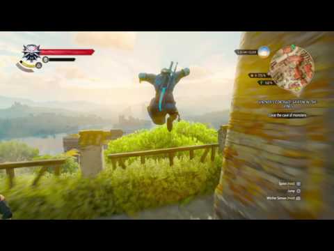 Fall Damage Logic: Witcher 3 The Wild Hunt