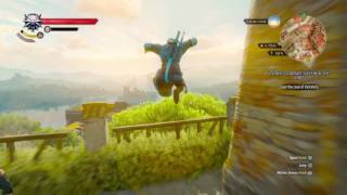 Fall Damage Logic Witcher 3 The Wild Hunt