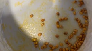 How to Cook Popcorn With No Kernels Leftover