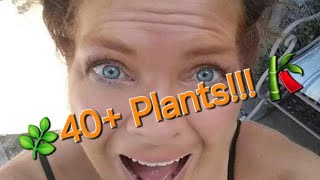 🌿40+ Plants!!!🎋 - Growing Crazy With Jeanette - S4 E28