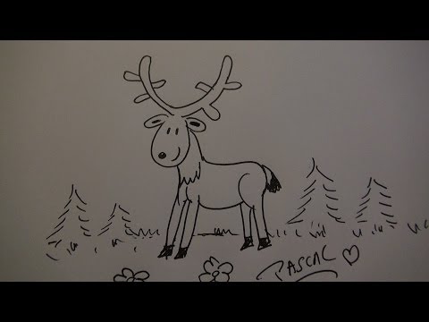 How to draw a cute cartoon deer! Easy - YouTube