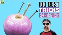 100 Best GARDENING HACKS AND IDEAS by Garden Tips - Beginners to Experts