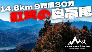 紅葉の奥高尾を縦走してきました