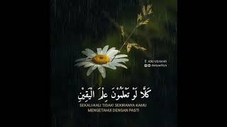 Surah At-Takasur | Abu Usamah #Abuusamah #murottal