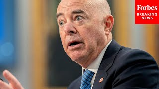 Dem Senator Asks Alejandro Mayorkas Point Blank What He Is Doing To Stop Cartels In Mexico
