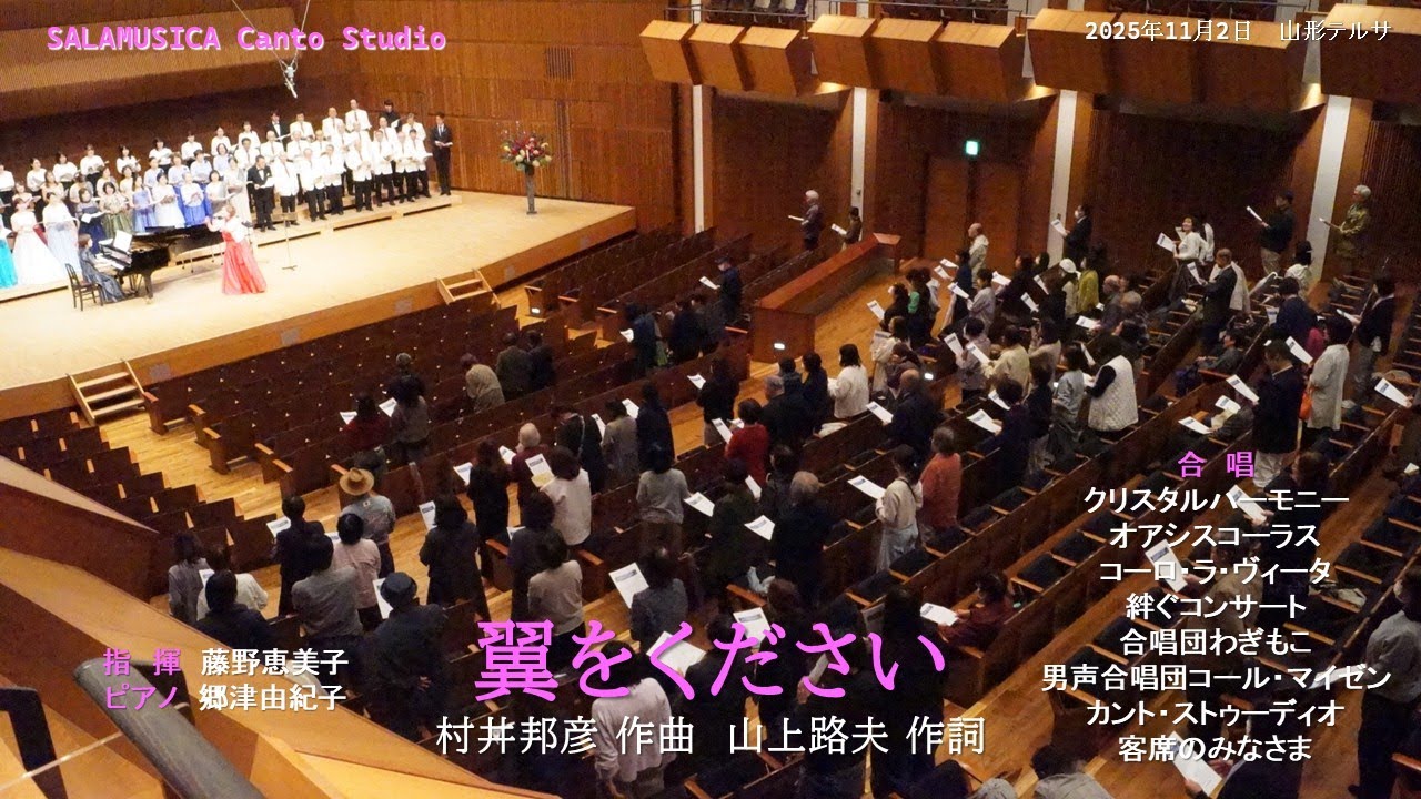 🕊️翼をください🪽