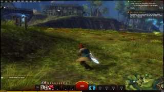 Guild Wars 2 on NVIDIA GeForce GT 640 2GB Max Settings