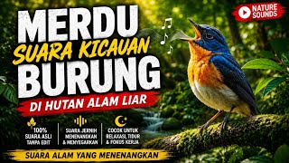 Terapi burung anti-stres menggunakan suara hutan dan suara burung di alam liar.