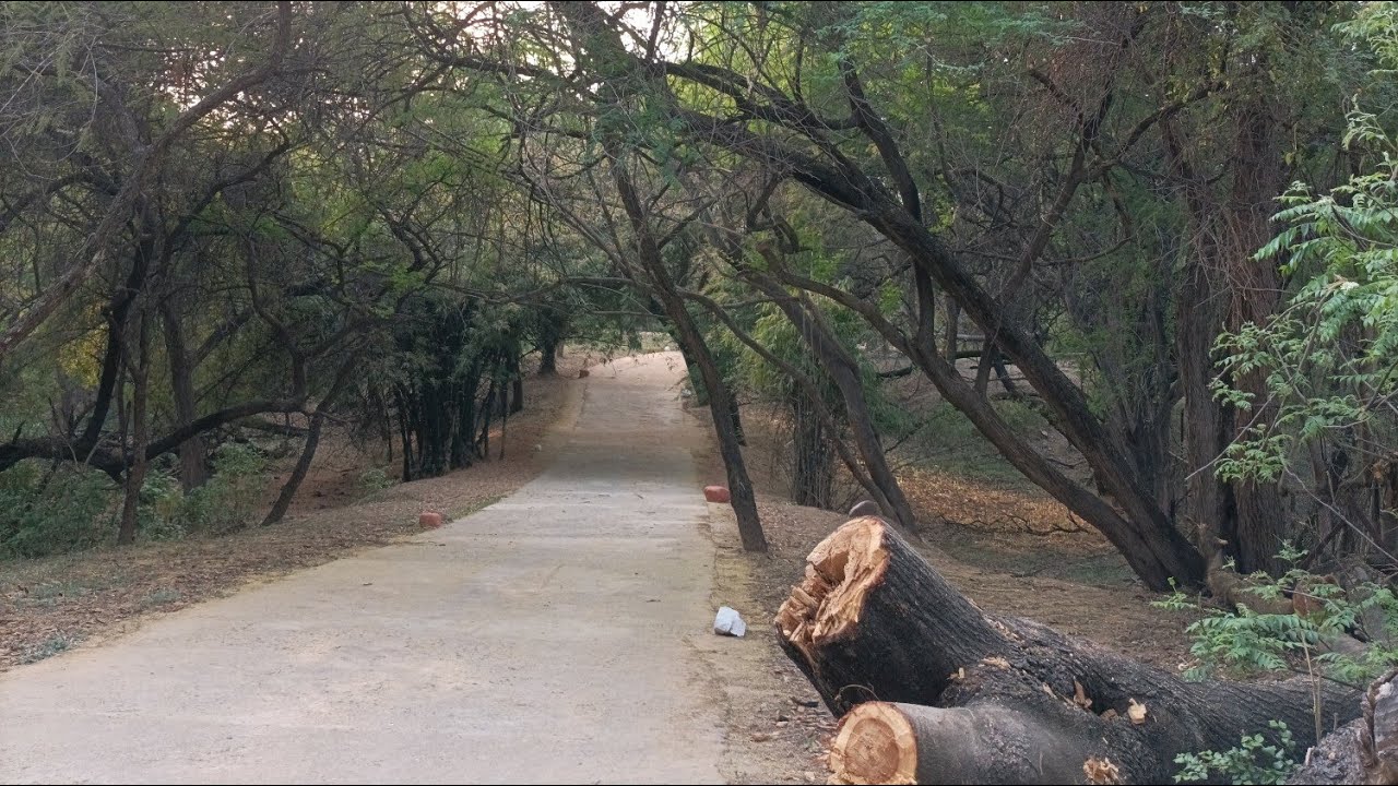 Nature Trail Chandigarh |beside sukhna lake| - YouTube