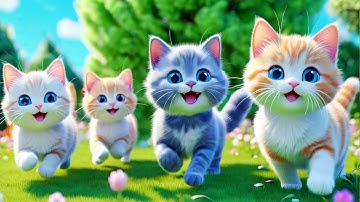 Nhạc Thiếu Nhi Con Mèo Vui Nhộn - Rửa Mặt Như Mèo - Mèo Con Ngộ Nghĩnh - Meo Meo Meo