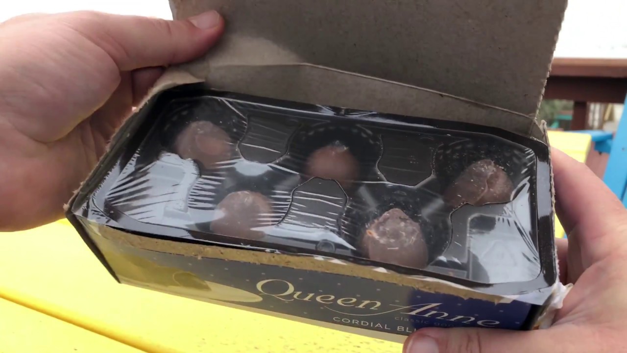 Queen Anne Chocolate Cordial Blueberries YouTube