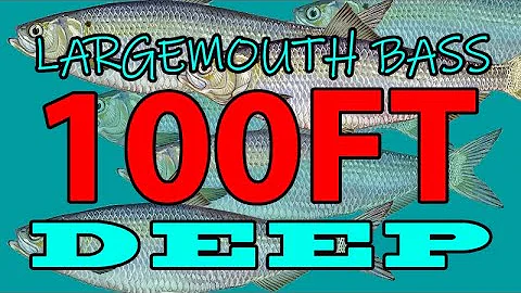 Catch Largemouth in 100ft of Water! Suspended Bass...