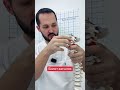 Болит затылок