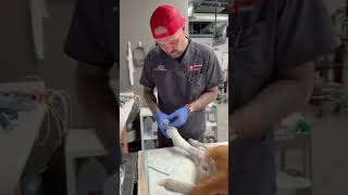 Different Techs, Different Bandages, Same Goal * Using Wimba Wound Protectors in Real ER Medicine
