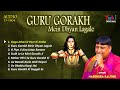 Guru gorakhnath non stop superhit bhajans              