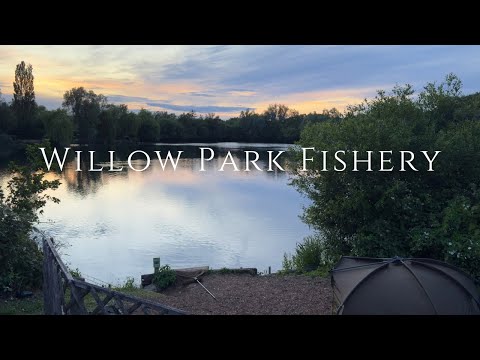 **WILLOW PARK SWIM 3** Great to be back out on the bank!!