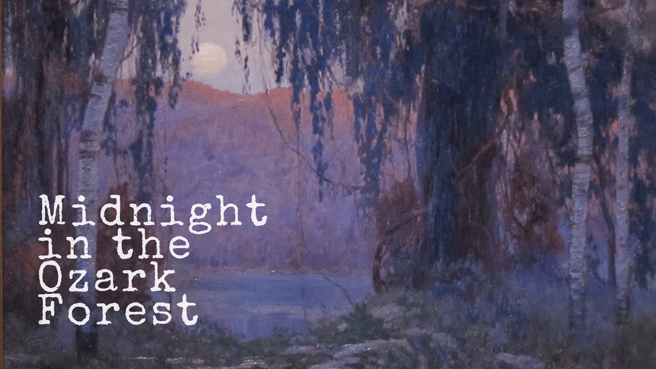 [POV] Midnight in the Ozark Forest | Deep Blue Silence & Moonlight